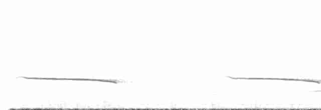 Black-eared Cuckoo - ML608848789