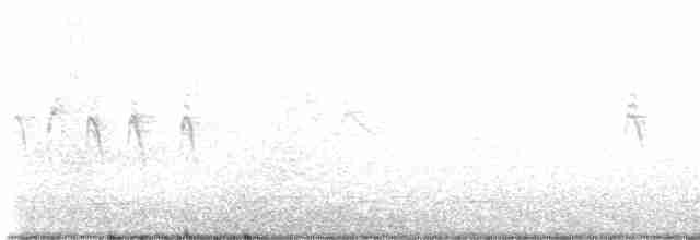 Sperlingsvogel, unbestimmt - ML608849212