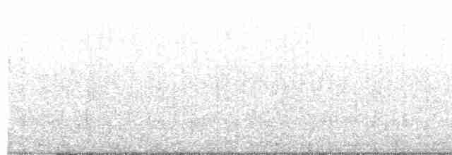 Eurasian Oystercatcher - ML608850974