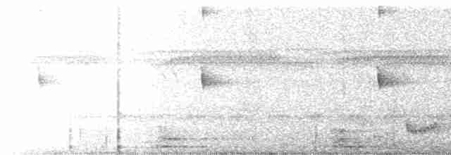 Scissor-tailed Nightjar - ML608851259
