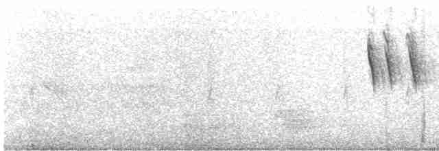 Steinschwalbe [fuligula-Gruppe] - ML608851493