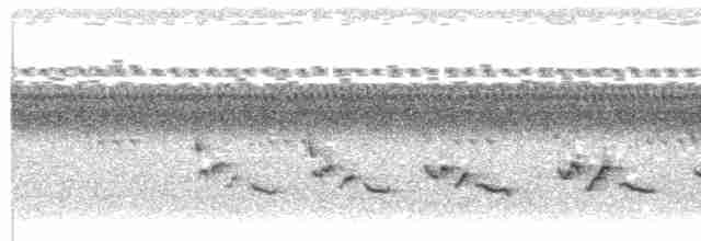 Каролинский крапивник - ML608852666