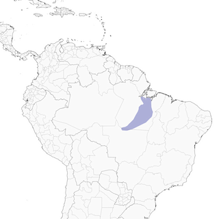 Distribution of the Xingu Scythebill - Range Map