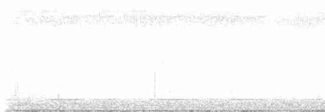 White-eyed Vireo (White-eyed) - ML608855457
