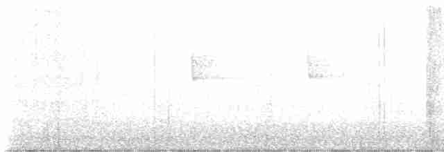 Hooded Warbler - ML608858038