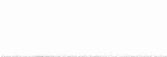 rorýs bělohrdlý - ML608858606