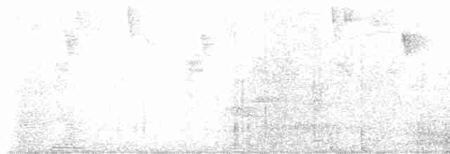 Mavi-Beyaz Kırlangıç (cyanoleuca) - ML608863369