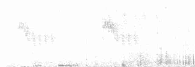 Troglodyte montagnard - ML608863389