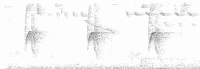 Plate-billed Mountain-Toucan - ML608863664