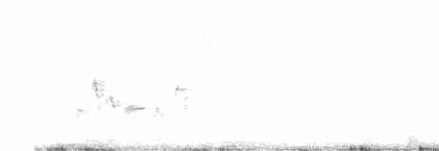White-eyed Vireo - ML608871948