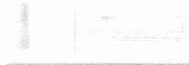 Weißbrustkleiber - ML608872176