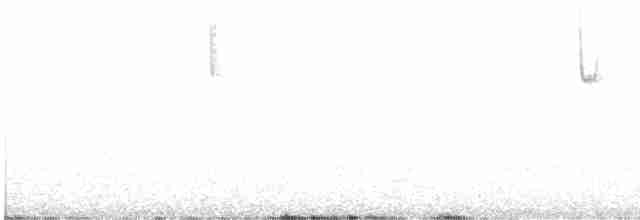 Юнко сірий [група oreganus] - ML608878455