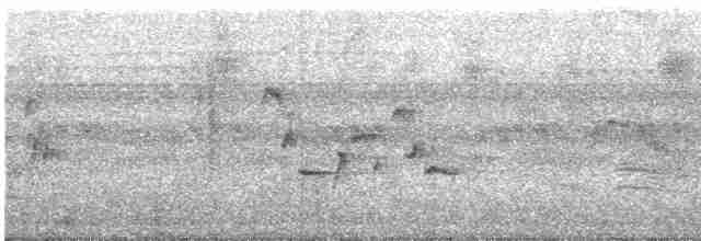 Поплітник каролінський - ML608885760