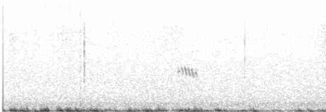 Ibis à face blanche - ML608891479