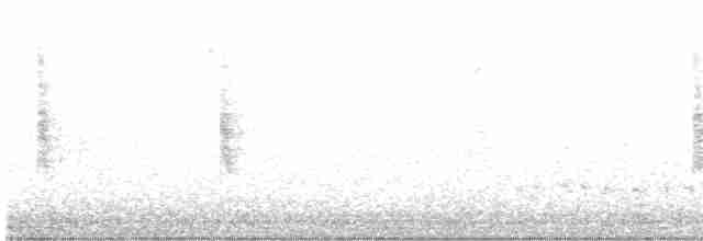 Common Yellowthroat - ML608892019