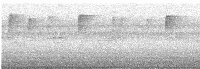Поплітник каролінський - ML608896353