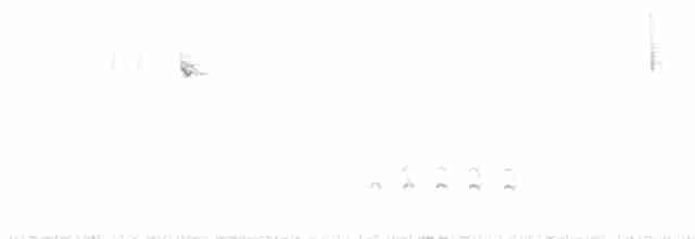 Weißbrustkleiber - ML608897296