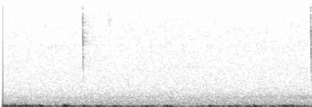 Юнко сірий [група oreganus] - ML608897342