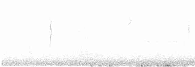 Пісняр-лісовик жовтогузий (підвид auduboni) - ML608897350