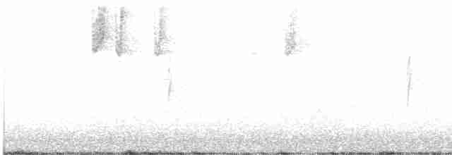 Пісняр-лісовик жовтогузий (підвид auduboni) - ML608897352