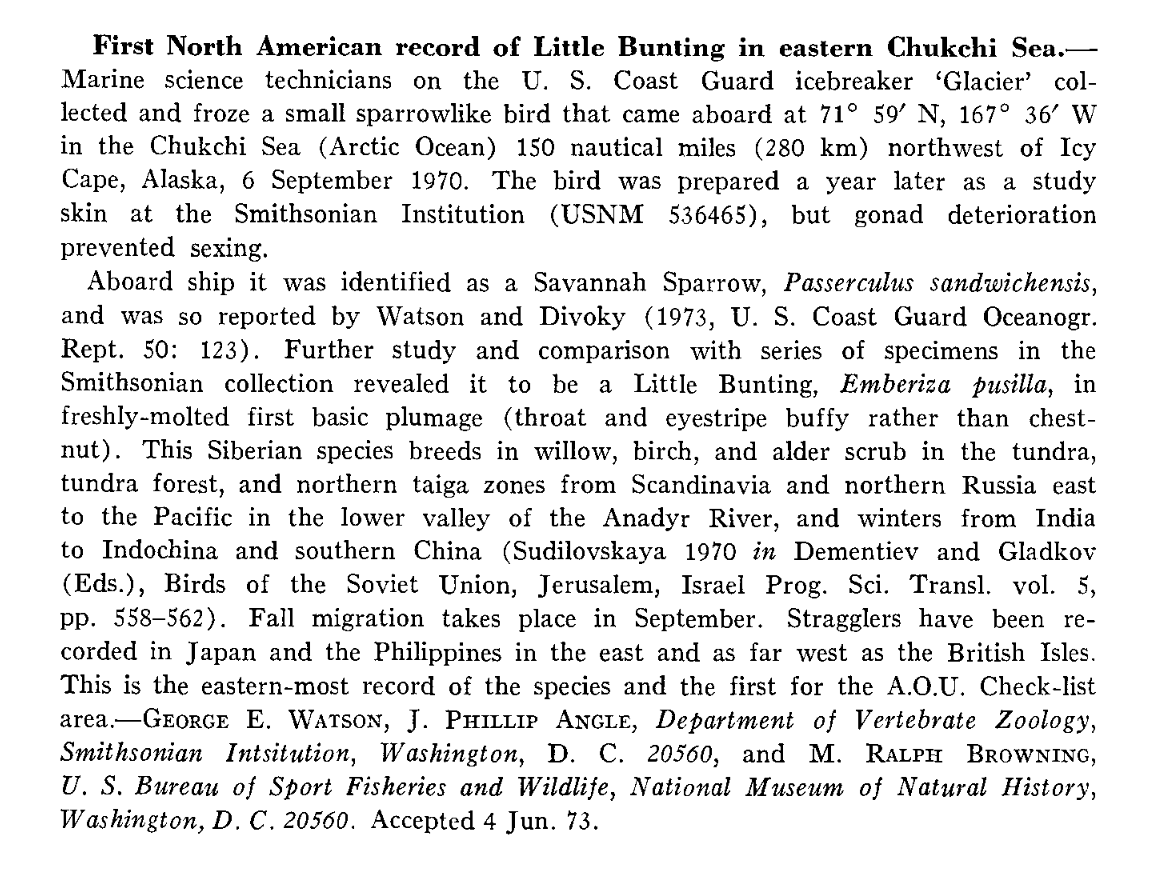 Little Bunting - Alaska Historical Records