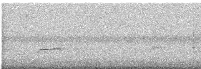 Дрізд-короткодзьоб Cвенсона - ML608912435