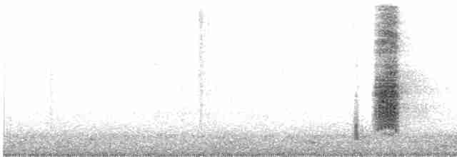 Дрізд південний (підвид magellanicus/pembertoni) - ML608914669