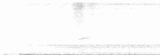 Дрізд-короткодзьоб Cвенсона - ML608915741