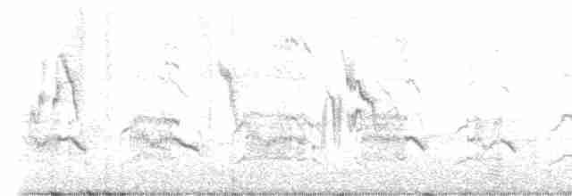 Common Redshank - ML608932757