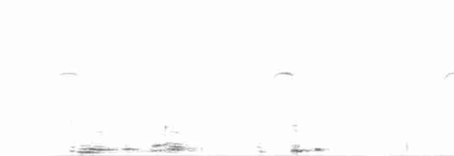 Исполинский колибри - ML608933581