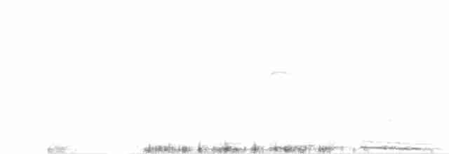 Исполинский колибри - ML608933582