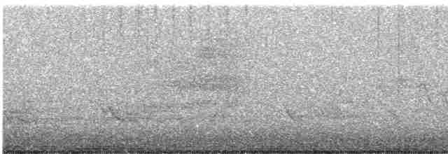 Common Yellowthroat - ML608933819