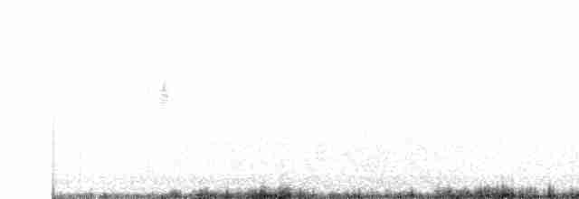White Wagtail - ML608940640