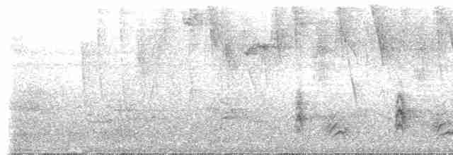 Kara Giysili Karıncakuşu - ML608952336