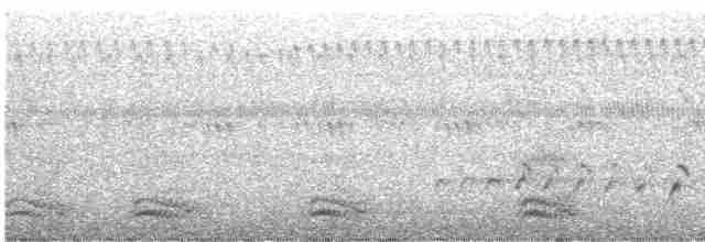 Средний кроншнеп - ML608957151