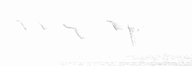 Шиподзьоб рудогузий - ML608957913