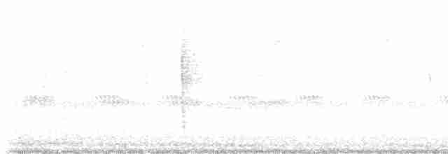 裏海燕鷗 - ML608958266