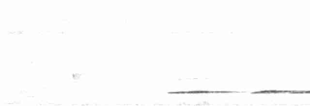 Undulated Tinamou - ML608960287