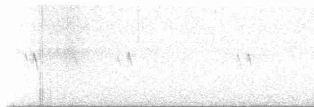 "Шишкар ялиновий (Western Hemlock, або тип 3)" - ML608961428