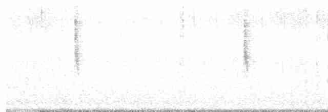 Common Yellowthroat - ML608964202
