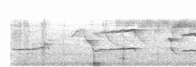 Tamatia rayé (striata) - ML608969521
