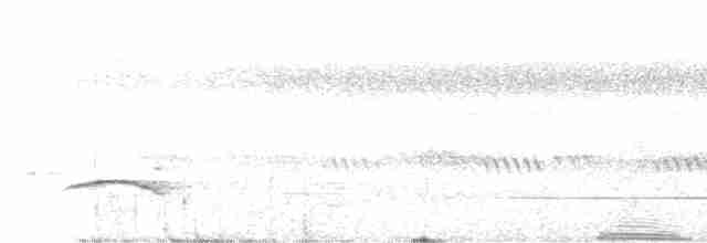 Пятнистогрудая тимелия-говорушка - ML608970343