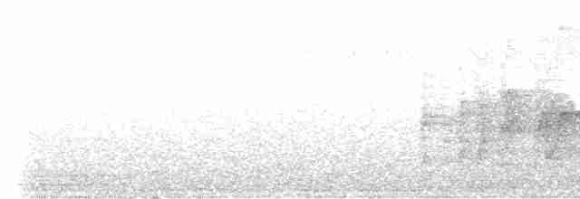 Weißbrauenstelze - ML608970404