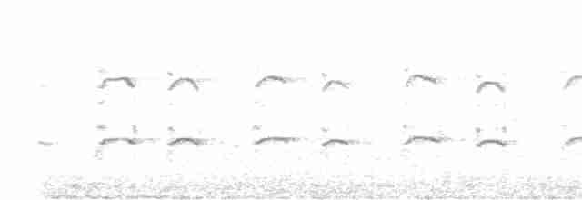 luňákovec australský - ML608971487