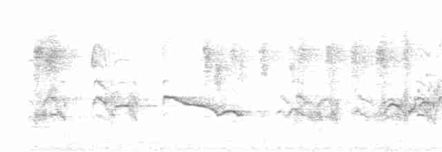 Дідрик смугастощокий (підвид plagosus) - ML608972096