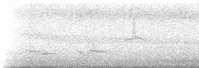Тиран вилохвостий (підвид savana) - ML608973593
