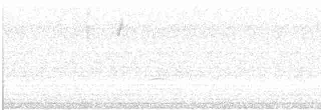 Дроздовый певун - ML608976140