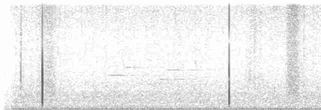 Трясогузковый певун - ML608978773
