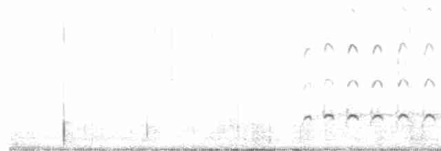 Regenbrachvogel (hudsonicus) - ML608980523