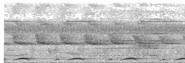 Каштановая длиннохвостая горлица - ML608986945
